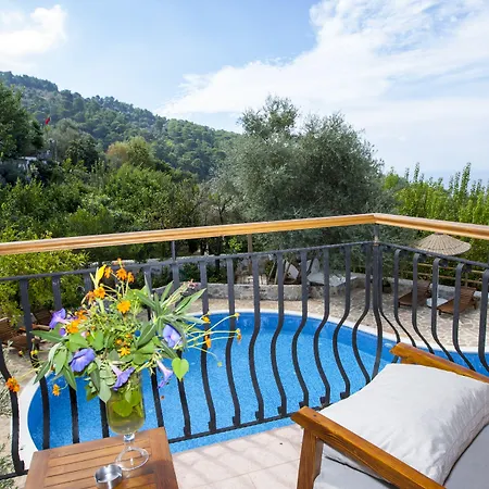 Exclusive Boutique 5 Guest house